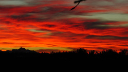 Abendrot über den Alpen